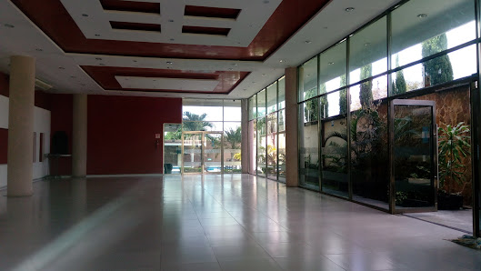 Salón Jardín Reni